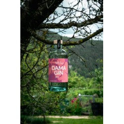 Dama-Gin 42% 50cl