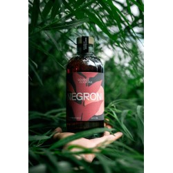 Negroni 50cl 20%