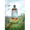 copy of Souboziane 16%