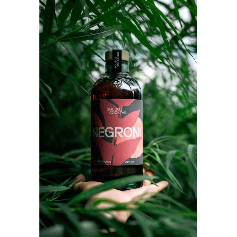 Negroni 10cl 20%