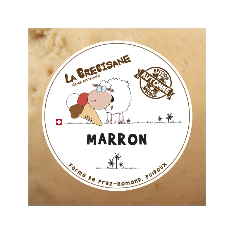 Glace marron 500ml ( par 6)